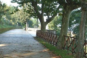 La panoramica Via Limiti a Frigento