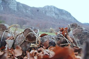 Escursione e degustazione di cacio sul Cervati