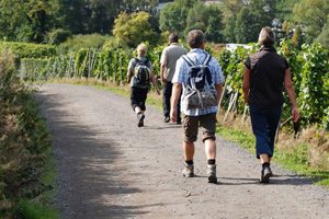 Wine Trekking tra Tufo e Santa Paolina