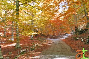 Autunno tra i monti Alburni