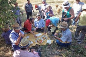Degustazione in masseria a Casalbore