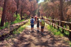 Passeggiata nella Riserva Alto Tirone sul Vesuvio