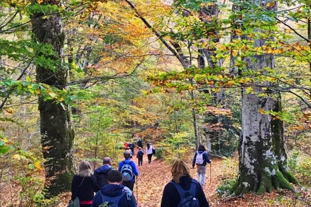Escursione a Calabritto, boschi Piano Migliato
