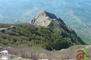 Panorama degli Alburni, Colle Medoro