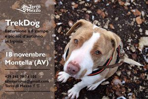 TrekDog sui monti Picentini, novembre 2018