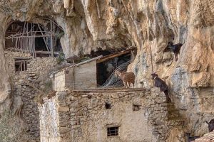 Ovile nelle grotte rupestri sul Sentiero degli Dei
