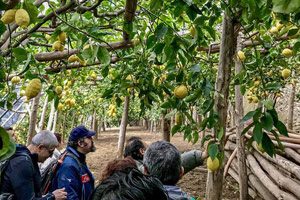 Giardino Sentiero dei Limoni