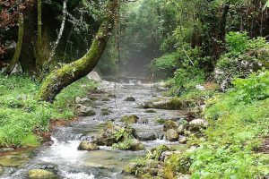 lungo il fiume Lete sul Matese