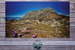 sentiero alto degli dei, escursione "Vette e Baite"