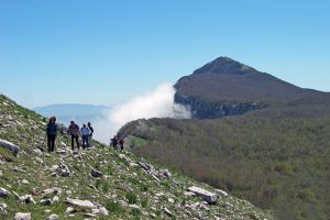 Trekkink per la cima Panormo sugli Alburni