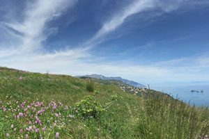 Pascoli e orchidee Monte Comune 