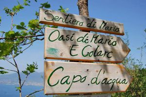 sentiero oasi mario