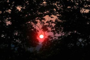 tramonto nella foresta rtegionale di Cuma