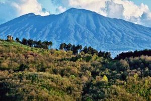 Panorama da lSentiero del Ciuchino sui Colli Tifatini