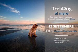 Trekdog a Marina di Camerota