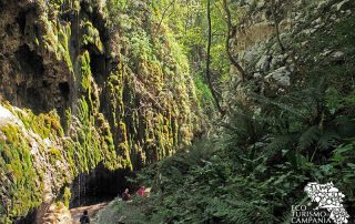 Gola nella Riserva Statale "Valle delle Ferriere" a Scala (ph Gianfranco Adduci)